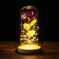 Gouden roos in glas en LED lampjes