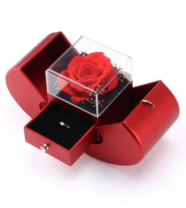 Rode hartvormige sieradenbox, inclusief gratis ketting